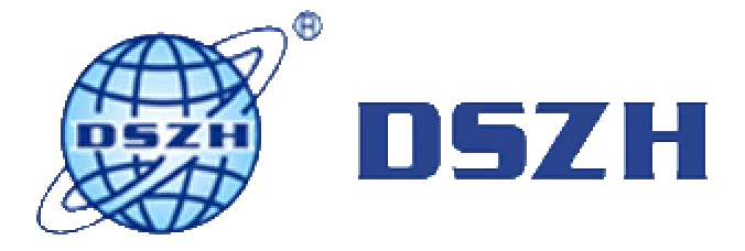 DSZH logo