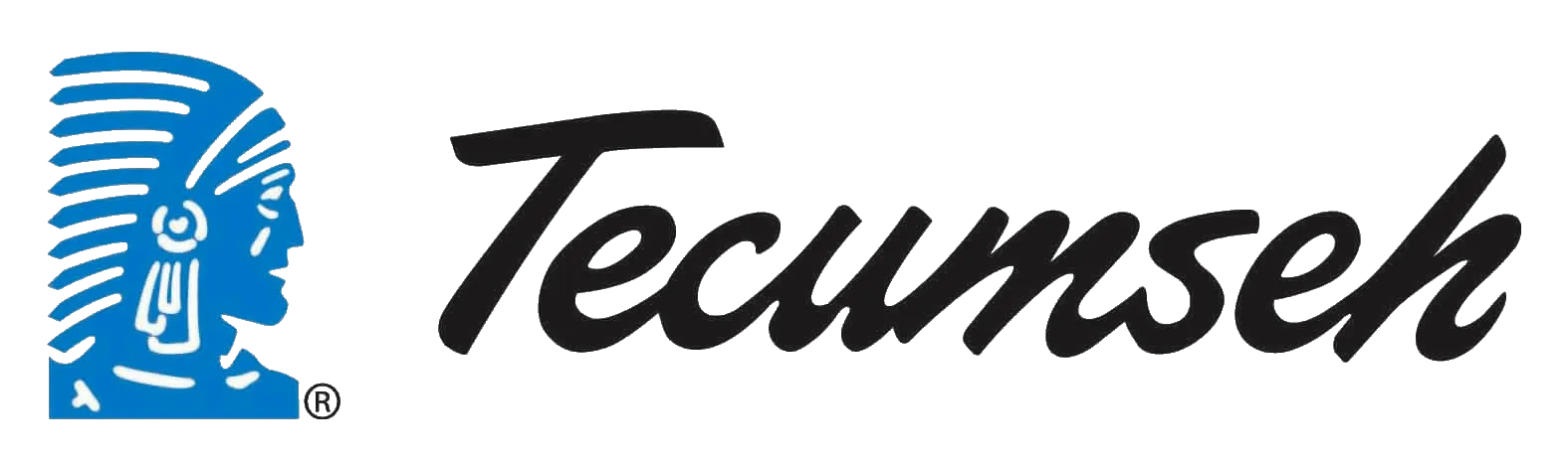 Tecumseh logo