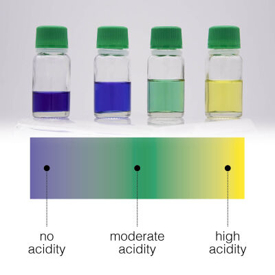 Тест на определение уровня кислоты в масле Errecom ACID-TEST